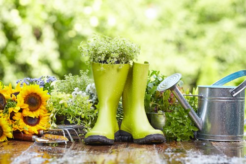 Front view of a gardener assessing a small urban garden