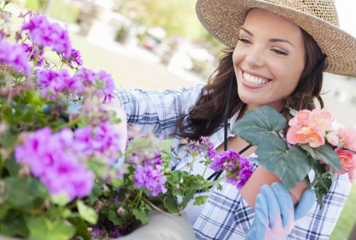 Professional garden maintenance in St Johns Wood