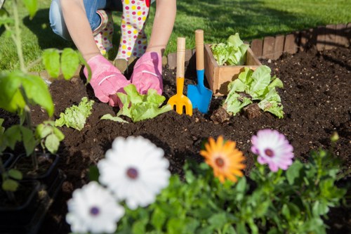 Modern gardening solutions in St Johns Wood